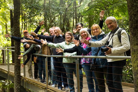 All Inclusive Blue Mountains Small-Group Day Trip From Sydney - Hotel VIC 5