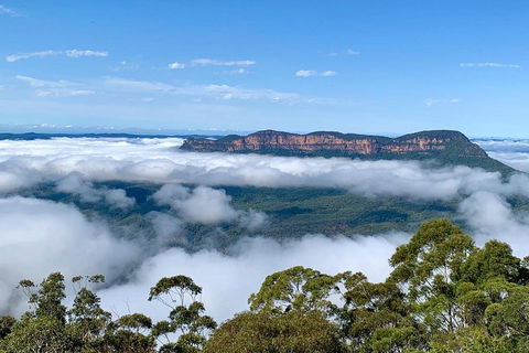Small-Group Blue Mountains Tour With A Local Guide - Hotel VIC 4