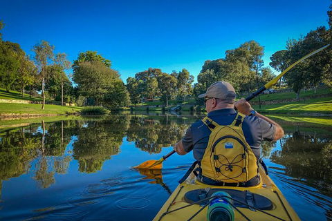 Adelaide City Kayak Tour - Hotel VIC 5