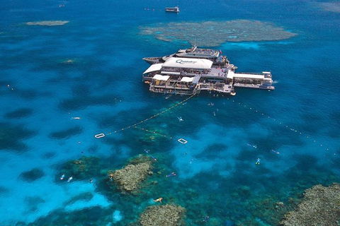 Quicksilver Outer Great Barrier Reef Snorkel Cruise From Palm Cove - Hotel VIC 1