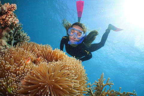 Quicksilver Outer Great Barrier Reef Snorkel Cruise From Palm Cove - Hotel VIC 2