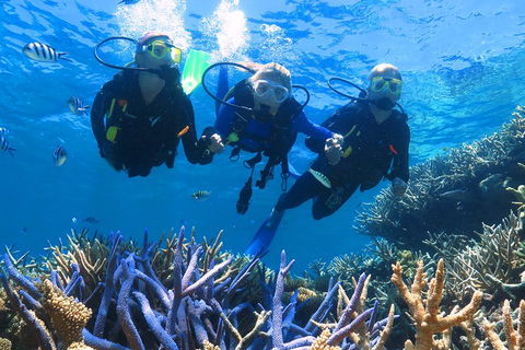 Quicksilver Outer Great Barrier Reef Snorkel Cruise From Palm Cove - Hotel VIC 3