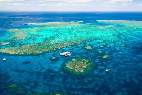 Quicksilver Outer Great Barrier Reef Snorkel Cruise From Palm Cove - Hotel VIC 4