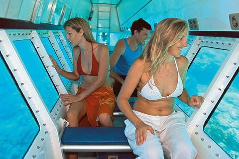 Quicksilver Outer Great Barrier Reef Snorkel Cruise From Palm Cove - Hotel VIC 5
