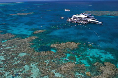 Quicksilver Outer Great Barrier Reef Snorkel Cruise From Port Douglas - Hotel VIC 3