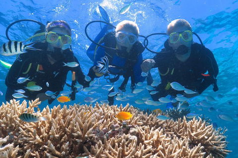 Quicksilver Outer Great Barrier Reef Snorkel Cruise From Port Douglas - Hotel VIC 4