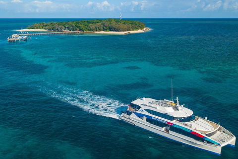Ultimate 3-Day Great Barrier Reef Cruise Pass - Hotel VIC 4