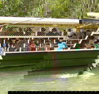 Hartley's Crocodile Adventure Half-Day Tour - Hotel VIC
