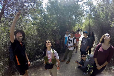 Active Day Tour One-Way From Launceston To Hobart Via Wineglass Bay - Hotel VIC 0