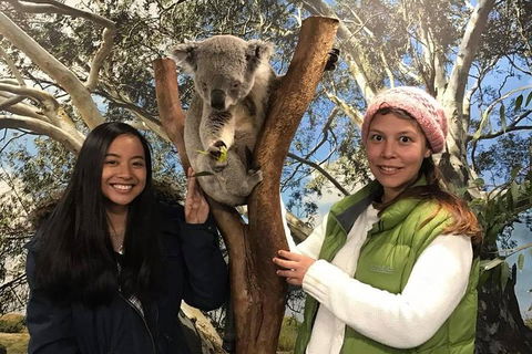 Australia Multi-City Attractions Pass - Hotel VIC 3