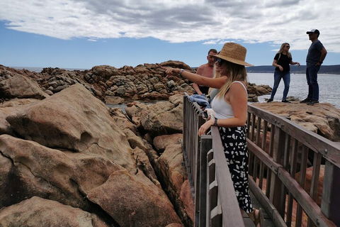 Margaret River Impression Day Tour From Perth - Hotel VIC 4