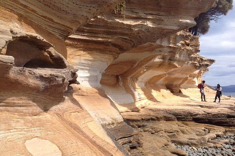 Hobart Minibus Full-Day Private Tour - Hotel VIC 0