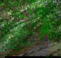 Green Island Eco Adventure from Cairns - Hotel VIC