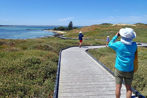 Penguin And Seal Islands Sea Kayaking Experience - Hotel VIC 1