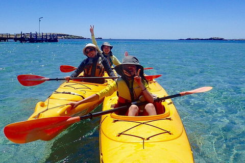 Penguin And Seal Islands Sea Kayaking Experience - Hotel VIC 4