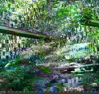 Double Pack-Ancient Rainforest and Waterfalls - Hotel VIC