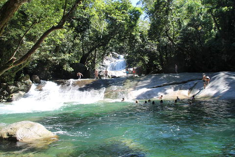 Double Pack-Ancient Rainforest And Waterfalls! - Hotel VIC 2