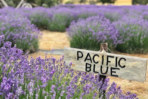 Kangaroo Island Food And Wine Hop-on Hop-off Tour - Hotel VIC 4
