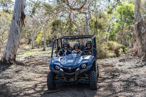 Small-Group Buggy Tour At Little Sahara With Guide - Hotel VIC 0