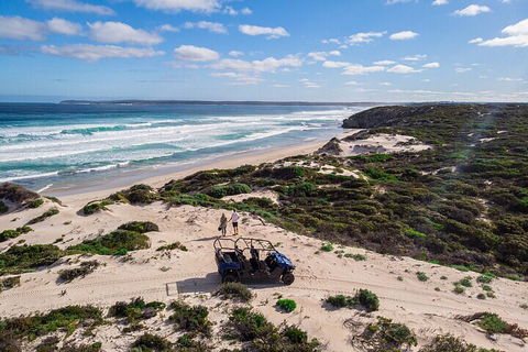 Small-Group Buggy Tour At Little Sahara With Guide - Hotel VIC 1