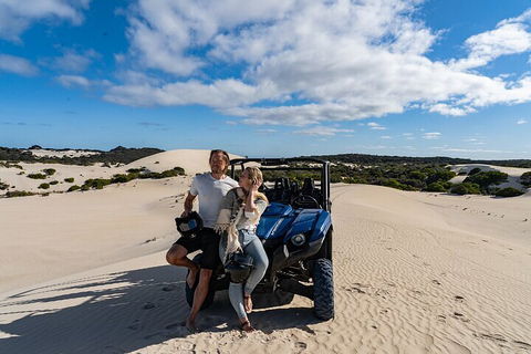 Small-Group Buggy Tour At Little Sahara With Guide - Hotel VIC 2