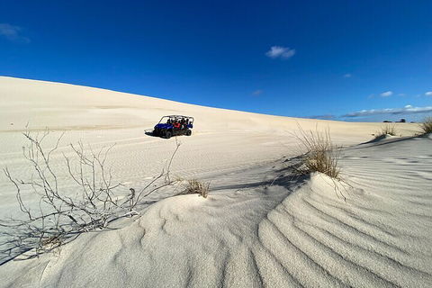 Small-Group Buggy Tour At Little Sahara With Guide - Hotel VIC 3