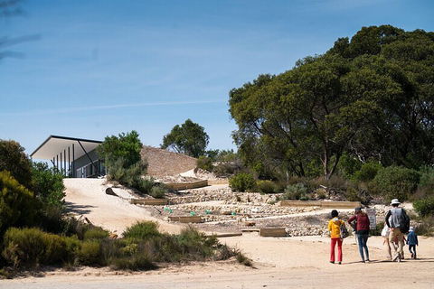 2-Hour Koala Walking Tour In Kangaroo Island - Hotel VIC 3