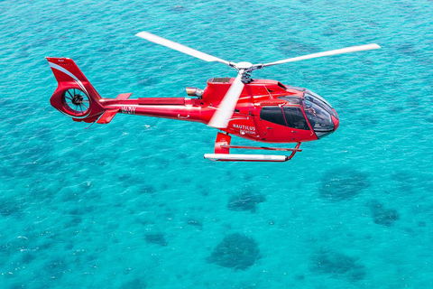 Port Douglas Scenic Flights - Hotel VIC 2