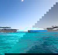 Rottnest Island Bike Snorkel  Ferry Package from Fremantle - Hotel VIC