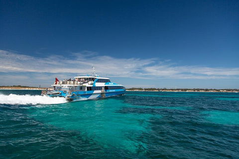 Perth To Rottnest Island Roundtrip Ferry Ticket - Hotel VIC 4