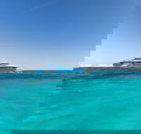 Rottnest Island Bayseeker Day Trip from Perth - Hotel VIC