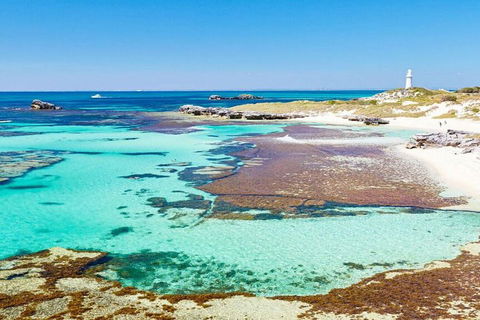 Rottnest Island Bayseeker Day Trip From Perth - Hotel VIC 4
