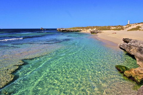 Rottnest Island Bayseeker Day Trip From Perth - Hotel VIC 5