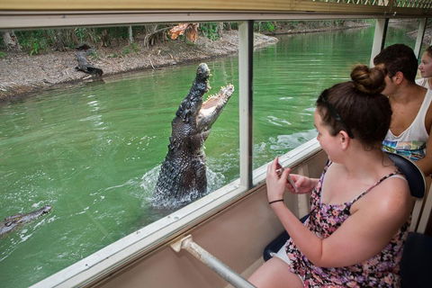 Hartley's Crocodile Adventures Day Trip From Cairns - Hotel VIC 3