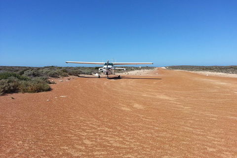 Abrolhos Islands Scenic Flight & Snorkel Adventure From Perth - Hotel VIC 3