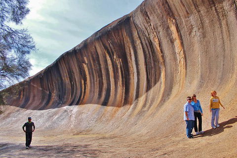 Wave Rock & Rottnest Island - Air & Ground Tour - Hotel VIC 2