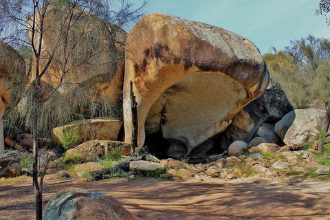 Wave Rock & Rottnest Island - Air & Ground Tour - Hotel VIC 4