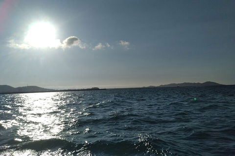 Townsville Small Group Early Morning Sailing Cruise Boat Tour Charter Hire - Hotel VIC 4