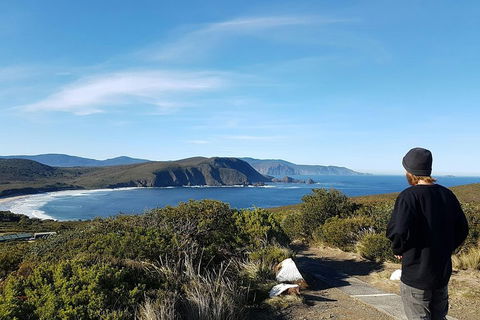 Small-Group Day Trip From Hobart To Bruny Island - Hotel VIC 0