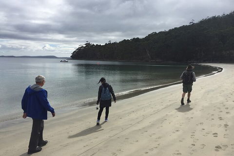 Small-Group Day Trip From Hobart To Bruny Island - Hotel VIC 1