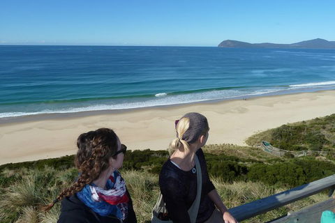 Small-Group Day Trip From Hobart To Bruny Island - Hotel VIC 3