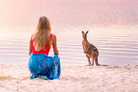 Serenity Cruise To Australia's Everglades - Hotel VIC 3