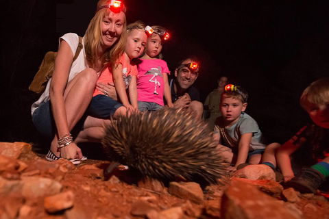 Alice Springs Desert Park Nocturnal Tour - Hotel VIC 5