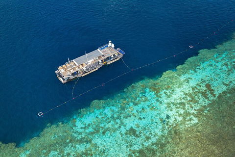 Great Barrier Reef Day Cruise To Reefworld - Hotel VIC 2