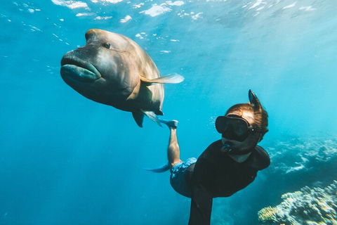 Great Barrier Reef Day Cruise To Reefworld - Hotel VIC 3