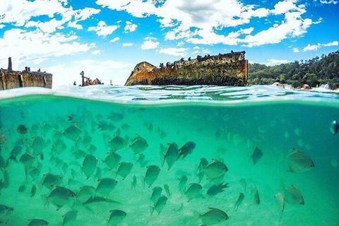 Adventure Moreton Island Day Pass - Hotel VIC 4