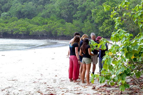 Full Day Daintree Rainforest And Mossman Gorge Tour - Hotel VIC 2