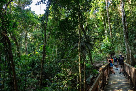 Full Day Daintree Rainforest And Mossman Gorge Tour - Hotel VIC 5