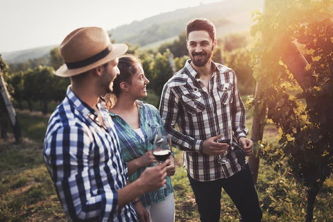 Full Day Mount Tamborine Winery Tour From Gold Coast - Hotel VIC 5