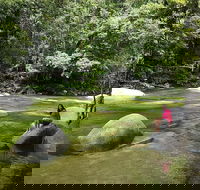 Daintree Dreaming Traditional Aboriginal Fishing from Cairns or Port Douglas - Hotel VIC